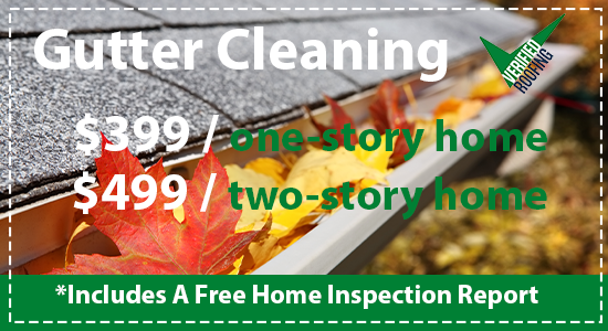 Coupon Image for Gutter Cleaning Service