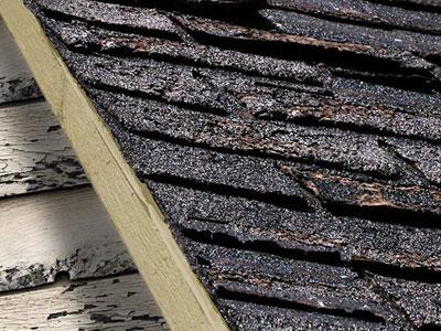 Verified Roofing, LLC Images